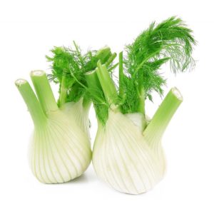 Fresh fennel bulb